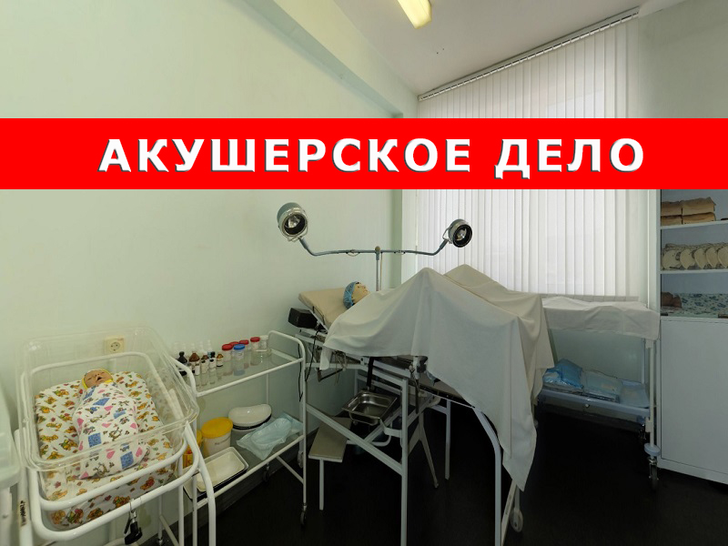 Акушерское дело